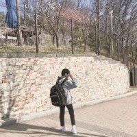 곽재현