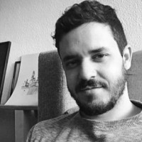 Luiz Fernando de Brito Vieira