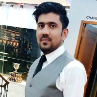 M. Ameer Hamza