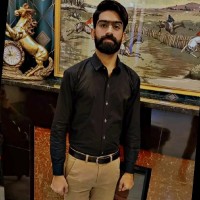Afzal H.