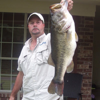 Greg Mcleod