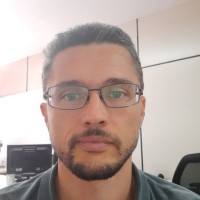 Luiz Fernando de O V Goulart