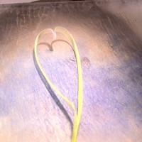 Jaspreet Singh Sidhu