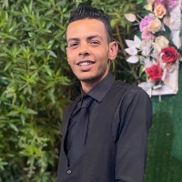 Amr El Qady