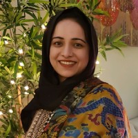 Mehreen Ali Wasti