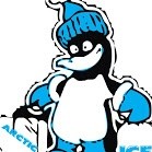 Arctic Ice