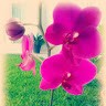 Ruth M