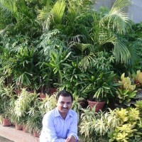 Jitendra Varshney