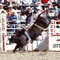 Dustin Young