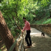 Ashish Gour