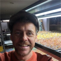 Bart Vanderveken