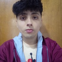 Joan Sebastian Amaya Bohorquez