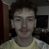 Vlad Manole