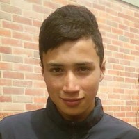 David Stiven Burgos Castillo