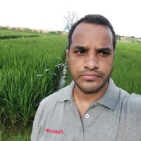 Dr Anupam Singh