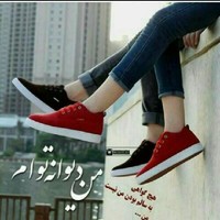 داد حیدری