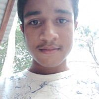 Md Arman Sheikh