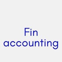Fin Accounting