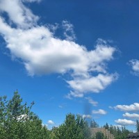 Angela (Shiqing) Huang