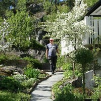 Jan Bjerring