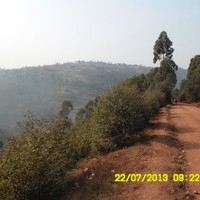 mulabbi brian