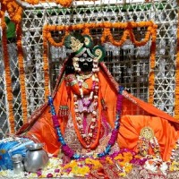 Er.Shefali _