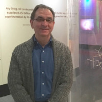 Ray Grant