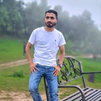 Romash Oli