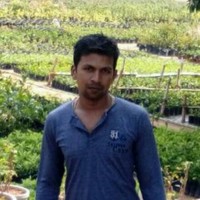 Vipin Vu