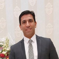 Mostafa Farid