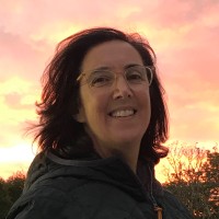 Beth Finkelstein