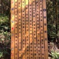 徐力新