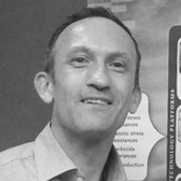 Raymond Hulzink