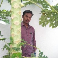 Siva Kumar