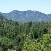 Payson Service