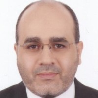 Helmi Domlog