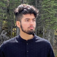 Ali Kirmani