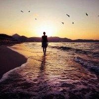 张厚平