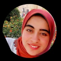 Samar Hussein