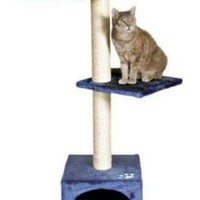 Josue Andres Ramires Calvo