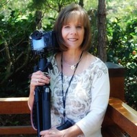 Carol Eade