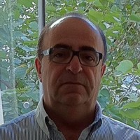 Luis Pavanello