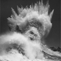 Franck Degre