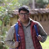 luis edgar yanque medrano