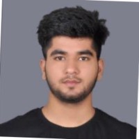 Nitin Gusain