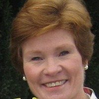 Ginger Gainer