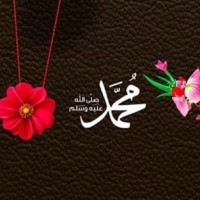 Abo Hamza
