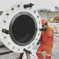 Ricardo Cazarín Cárdenas