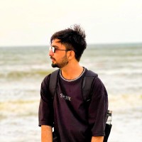 Syed Faizan Hussain Abidi ✨ Wordpress Developer.