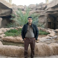 Masoud Ziaei